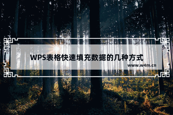 WPS表格快速填充数据的几种方式