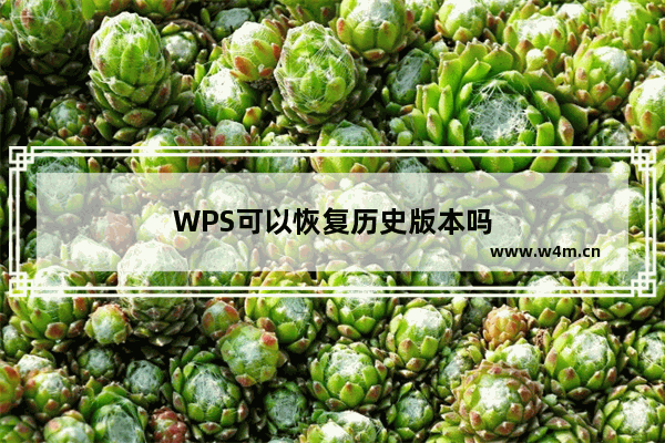 WPS可以恢复历史版本吗