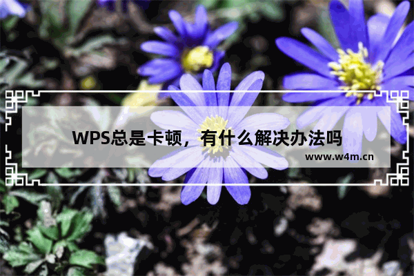 WPS总是卡顿，有什么解决办法吗