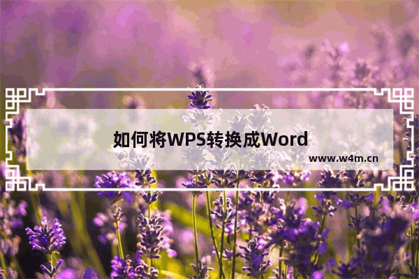 如何将WPS转换成Word