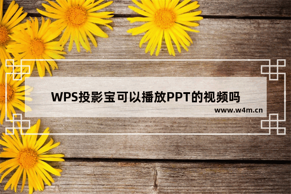 WPS投影宝可以播放PPT的视频吗