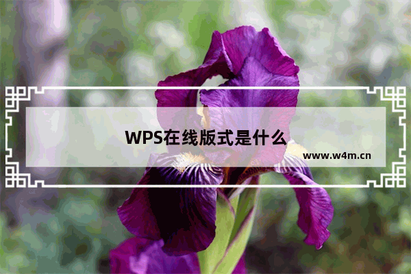 WPS在线版式是什么