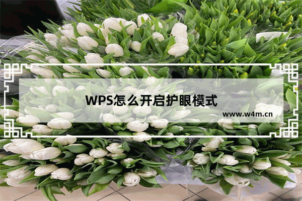 WPS怎么开启护眼模式