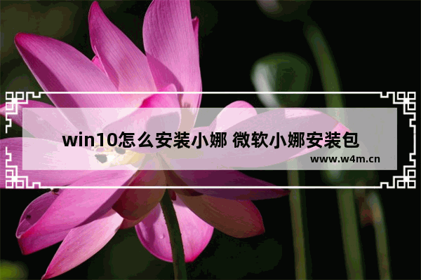 win10怎么安装小娜 微软小娜安装包