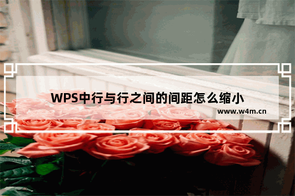 WPS中行与行之间的间距怎么缩小