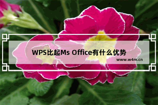 WPS比起Ms Office有什么优势