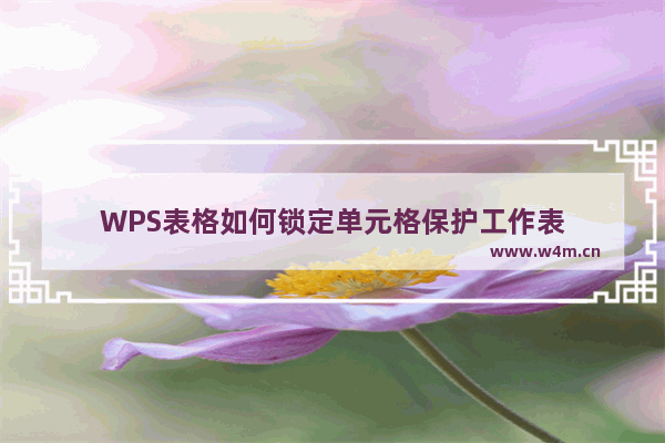 WPS表格如何锁定单元格保护工作表