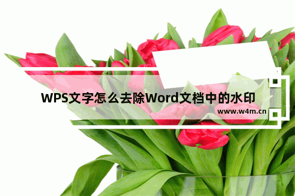 WPS文字怎么去除Word文档中的水印