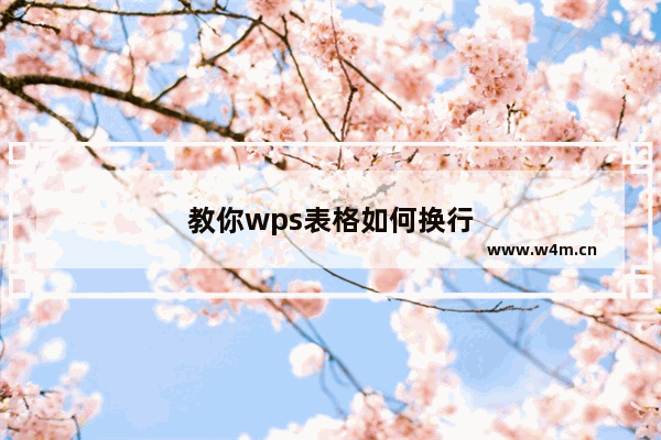 教你wps表格如何换行