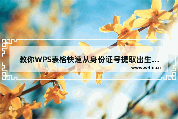 教你WPS表格快速从身份证号提取出生日期信息的方法