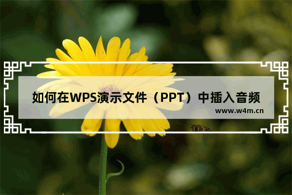 如何在WPS演示文件（PPT）中插入音频？