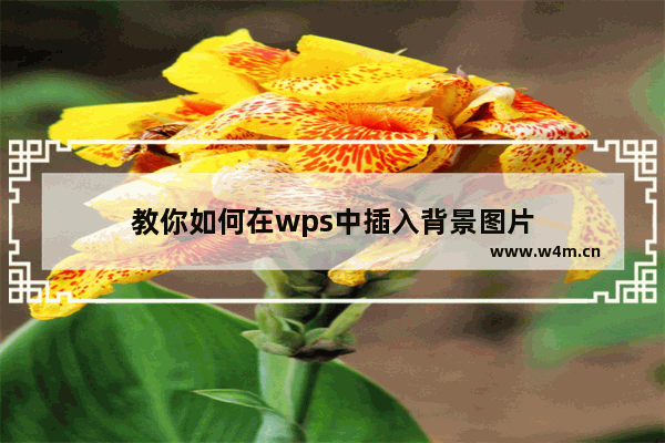 教你如何在wps中插入背景图片