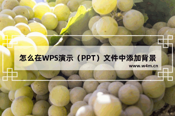 怎么在WPS演示（PPT）文件中添加背景音乐？