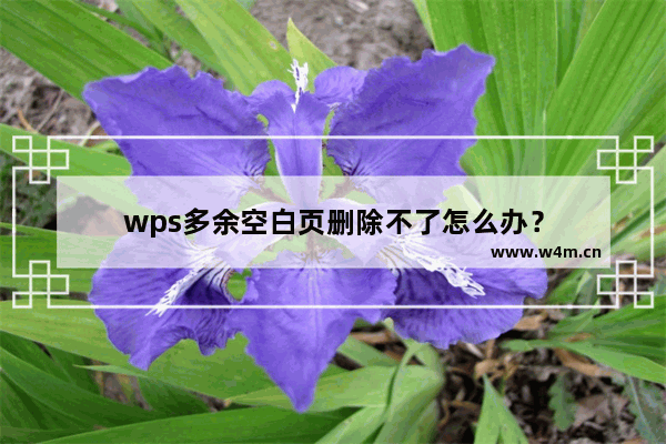 wps多余空白页删除不了怎么办？