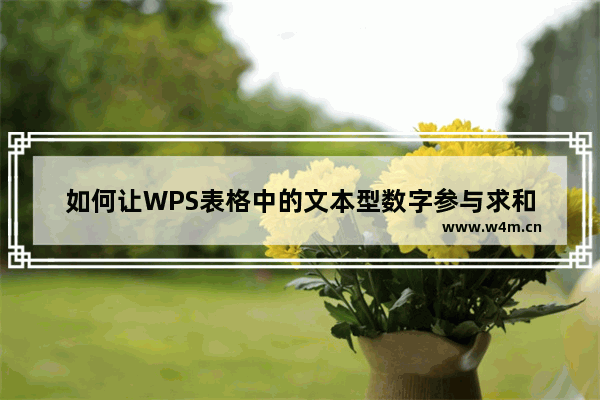 如何让WPS表格中的文本型数字参与求和