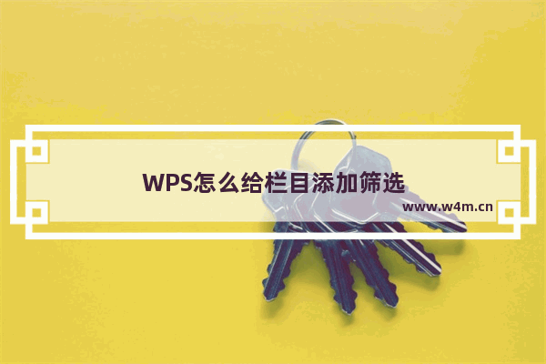 WPS怎么给栏目添加筛选