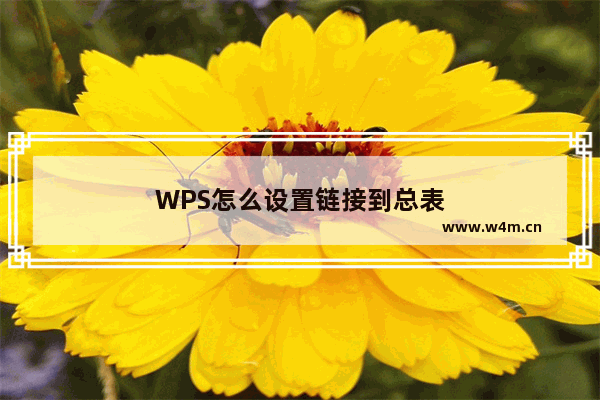 WPS怎么设置链接到总表