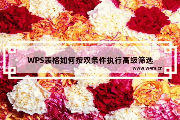 WPS表格如何按双条件执行高级筛选