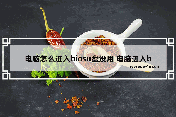 电脑怎么进入biosu盘没用 电脑进入bios后怎么用优盘启动