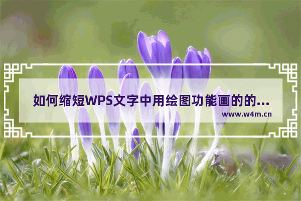 如何缩短WPS文字中用绘图功能画的的直线