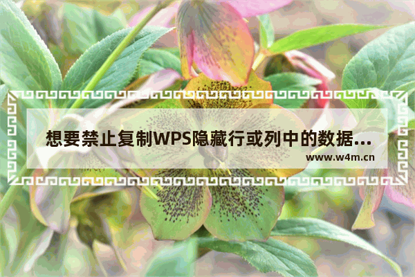 想要禁止复制WPS隐藏行或列中的数据，要如何操作