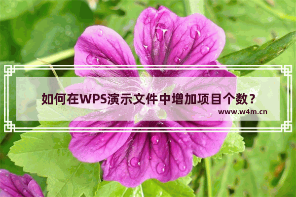 如何在WPS演示文件中增加项目个数？