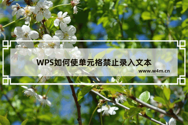 WPS如何使单元格禁止录入文本