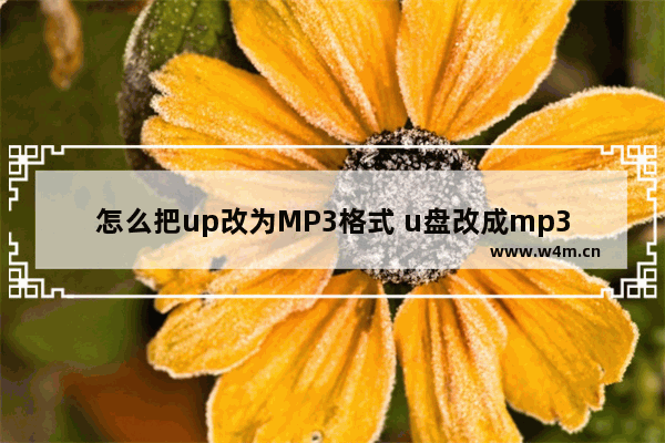 怎么把up改为MP3格式 u盘改成mp3格式