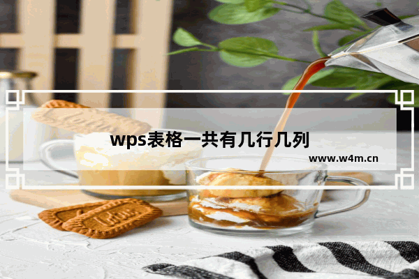 wps表格一共有几行几列