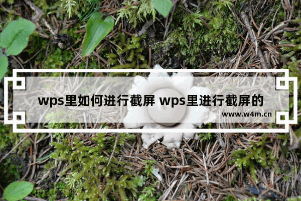 wps里如何进行截屏 wps里进行截屏的详细方法【详解】