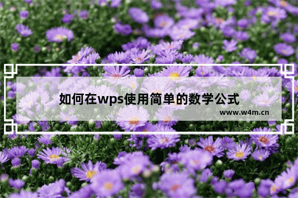 如何在wps使用简单的数学公式