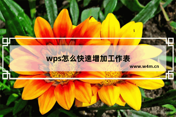 wps怎么快速增加工作表