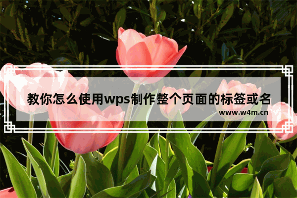 教你怎么使用wps制作整个页面的标签或名片