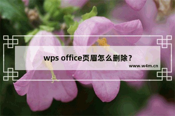 wps office页眉怎么删除？