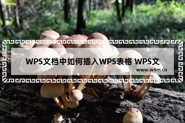 WPS文档中如何插入WPS表格 WPS文档中插入WPS表格的方法【详解】