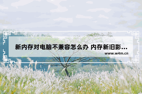 新内存对电脑不兼容怎么办 内存新旧影响性能吗