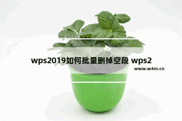 wps2019如何批量删掉空段 wps2019批量删掉空段的操作流程【详解】