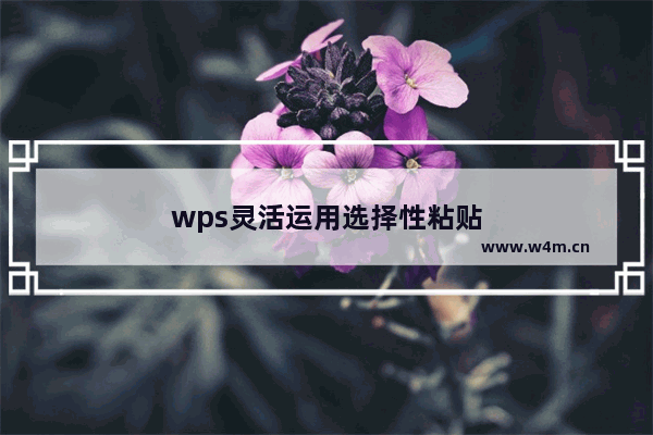 wps灵活运用选择性粘贴