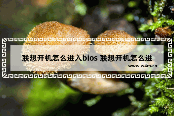 联想开机怎么进入bios 联想开机怎么进入高级选项