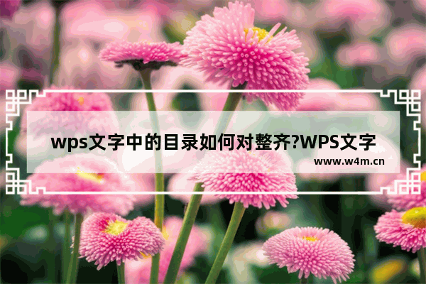 wps文字中的目录如何对整齐?WPS文字目录对齐的方法教程