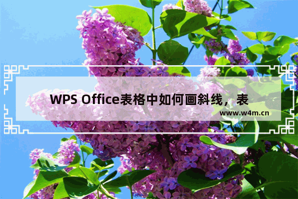 WPS Office表格中如何画斜线，表格中的字如何换行?怎么做