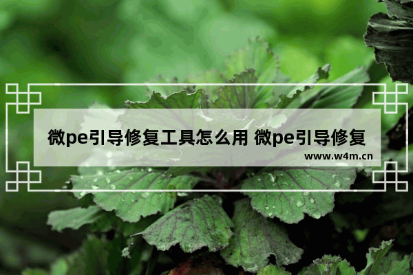 微pe引导修复工具怎么用 微pe引导修复工具怎么使用