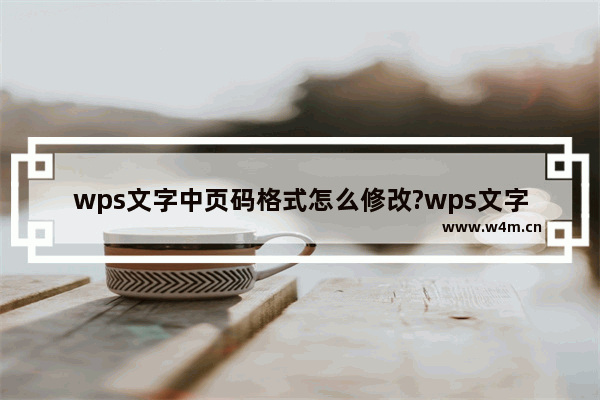 wps文字中页码格式怎么修改?wps文字修改页码格式的方法教程