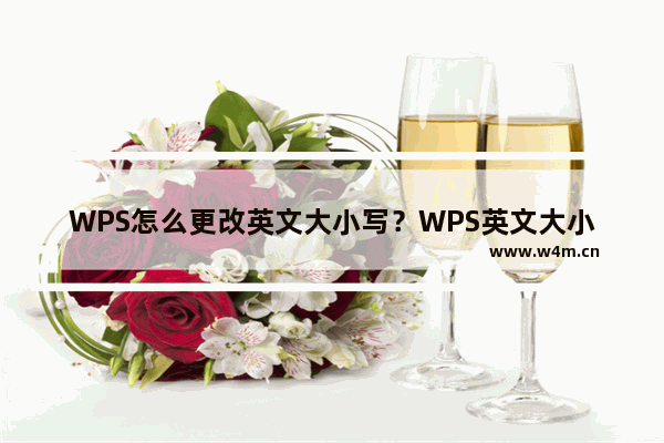 WPS怎么更改英文大小写？WPS英文大小写的转换方式