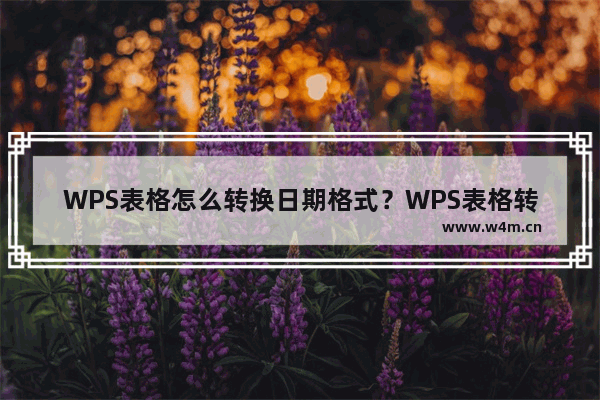 WPS表格怎么转换日期格式？WPS表格转换日期格式的技巧