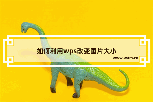 如何利用wps改变图片大小