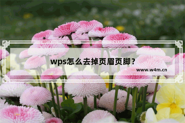 wps怎么去掉页眉页脚？