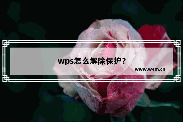 wps怎么解除保护？