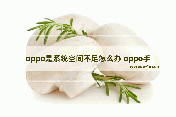 oppo是系统空间不足怎么办 oppo手机的系统空间不足怎么办