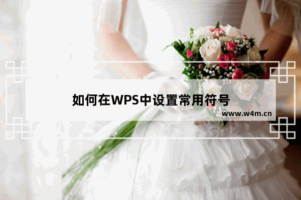 如何在WPS中设置常用符号